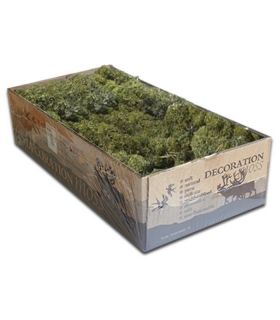 Végétations pour maquettes