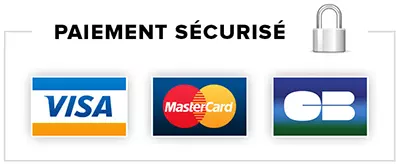 Logo paiement sécurisé en ligne